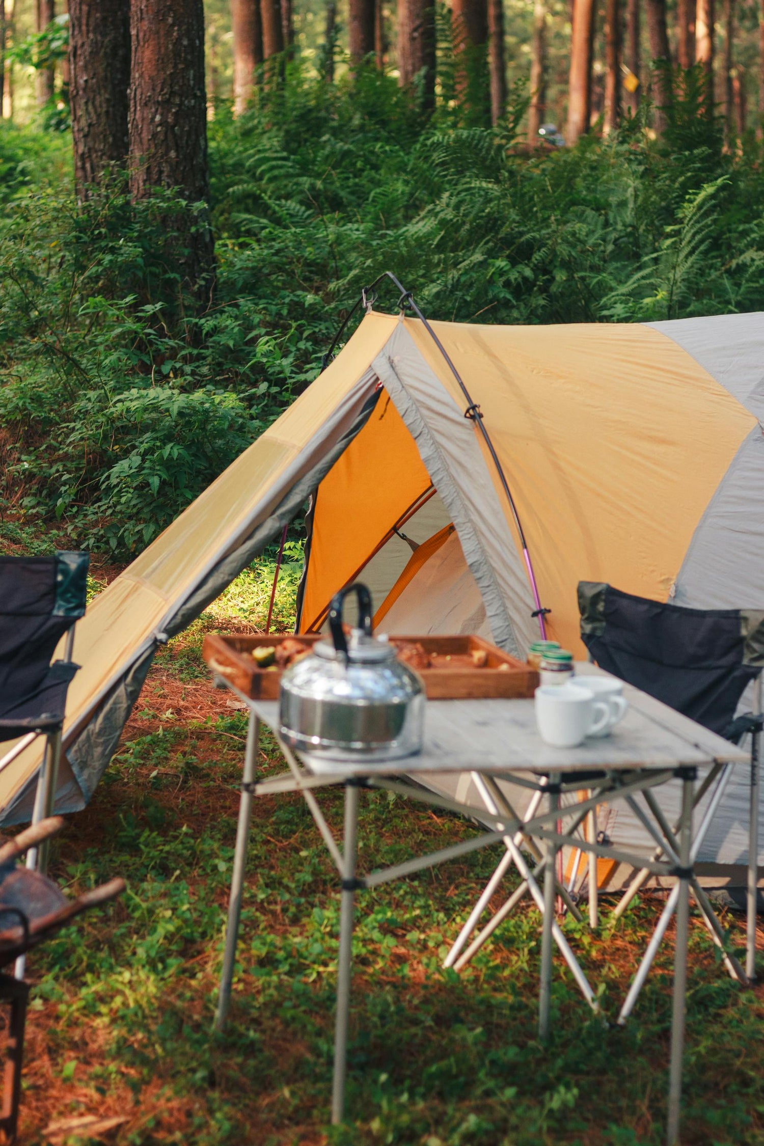 Camping & Hiking